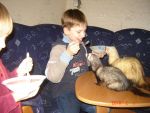 Ąāņīš: Kriiste
Dydis: 640x480, 53469 baitų
Atnaujinta: 17-10-2010, 12:16
Peržiūrų: išj
''Už'' balsavo: 3
Reitingas: 0.28