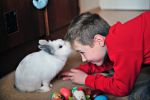 Ąāņīš: ajas
Dydis: 640x427, 36945 baitų
Atnaujinta: 18-10-2010, 15:20
Peržiūrų: išj
''Už'' balsavo: 8
Reitingas: 0.73