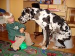 Ąāņīš:
Dydis: 640x480, 185384 baitų
Atnaujinta: 23-10-2010, 12:46
Peržiūrų: išj
''Už'' balsavo: 33
Reitingas: 3.03