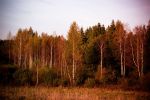 Ąāņīš:
Dydis: 640x428, 76533 baitų
Atnaujinta: 26-11-2010, 10:28
Peržiūrų: išj
''Už'' balsavo: 8
Reitingas: 1.72