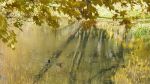 Ąāņīš: mama-gita
Dydis: 500x281, 70520 baitų
Atnaujinta: 26-11-2010, 14:01
Peržiūrų: išj
''Už'' balsavo: 6
Reitingas: 1.29