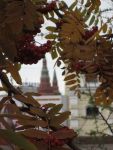 Ąāņīš: Laivite
Dydis: 480x640, 50808 baitų
Atnaujinta: 29-11-2010, 9:37
Peržiūrų: išj
''Už'' balsavo: 7
Reitingas: 1.51