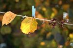 Ąāņīš: Stebukle
Dydis: 600x399, 202090 baitų
Atnaujinta: 30-11-2010, 15:50
Peržiūrų: išj
''Už'' balsavo: 5
Reitingas: 1.08