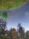 Ąāņīš: DRUNE
Dydis: 480x640, 62632 baitų
Atnaujinta: 30-11-2010, 17:40
Peržiūrų: išj
''Už'' balsavo: 17
Reitingas: 3.66