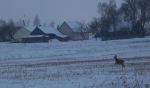 Ąāņīš: Dzenete
Dydis: 640x377, 40007 baitų
Atnaujinta: 08-01-2011, 18:59
Peržiūrų: išj
''Už'' balsavo: 1
Reitingas: 0.15