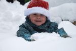 Ąāņīš: žiog(ien)ė
Dydis: 640x429, 65431 baitų
Atnaujinta: 09-01-2011, 18:47
Peržiūrų: išj
''Už'' balsavo: 11
Reitingas: 1.63
