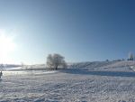 Ąāņīš: KLEVELIS
Dydis: 640x480, 44660 baitų
Atnaujinta: 11-01-2011, 19:28
Peržiūrų: išj
''Už'' balsavo: 4
Reitingas: 0.59