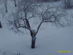 Ąāņīš: r8e8d8e8
Dydis: 640x480, 53655 baitų
Atnaujinta: 11-01-2011, 18:43
Peržiūrų: išj
''Už'' balsavo: 0
Reitingas: 0