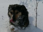 Ąāņīš:
Dydis: 640x480, 46012 baitų
Atnaujinta: 14-01-2011, 0:08
Peržiūrų: išj
''Už'' balsavo: 8
Reitingas: 1.18