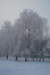 Ąāņīš:
Dydis: 427x640, 32418 baitų
Atnaujinta: 13-01-2011, 18:14
Peržiūrų: išj
''Už'' balsavo: 3
Reitingas: 0.44