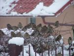 Ąāņīš: taniai
Dydis: 640x480, 65152 baitų
Atnaujinta: 13-01-2011, 18:14
Peržiūrų: išj
''Už'' balsavo: 13
Reitingas: 1.92