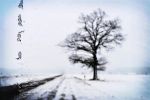 Ąāņīš: lijo
Dydis: 640x425, 29032 baitų
Atnaujinta: 14-01-2011, 21:43
Peržiūrų: išj
''Už'' balsavo: 36
Reitingas: 5.33
Viso: I vieta