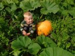 Ąāņīš: oxsy
Dydis: 640x480, 65799 baitų
Atnaujinta: 11-10-2011, 11:42
Peržiūrų: išj
''Už'' balsavo: 1
Reitingas: 0.19