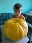 Ąāņīš: eknos
Dydis: 480x640, 39714 baitų
Atnaujinta: 10-10-2011, 19:59
Peržiūrų: išj
''Už'' balsavo: 2
Reitingas: 0.37