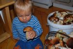 Ąāņīš: Veitė
Dydis: 640x428, 54598 baitų
Atnaujinta: 18-10-2011, 14:48
Peržiūrų: išj
''Už'' balsavo: 5
Reitingas: 0.92