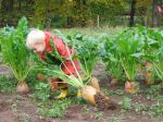 Ąāņīš: Baltike
Dydis: 640x480, 92590 baitų
Atnaujinta: 19-10-2011, 10:03
Peržiūrų: išj
''Už'' balsavo: 63
Reitingas: 11.62