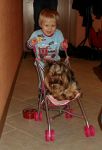 Ąāņīš: 1laimuzele1
Dydis: 435x640, 43700 baitų
Atnaujinta: 21-11-2011, 14:21
Peržiūrų: išj
''Už'' balsavo: 1
Reitingas: 0.12