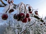 Ąāņīš: eros
Dydis: 640x480, 52348 baitų
Atnaujinta: 22-02-2012, 18:47
Peržiūrų: išj
''Už'' balsavo: 13
Reitingas: 1.9