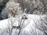Ąāņīš: Fedes
Dydis: 640x480, 85529 baitų
Atnaujinta: 25-02-2012, 14:53
Peržiūrų: išj
''Už'' balsavo: 4
Reitingas: 0.58
