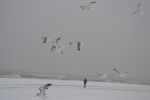 Ąāņīš: Emoli
Dydis: 640x427, 12200 baitų
Atnaujinta: 25-02-2012, 19:09
Peržiūrų: išj
''Už'' balsavo: 7
Reitingas: 1.02