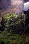 Ąāņīš: man-patinka-tyla
Dydis: 432x640, 85376 baitų
Atnaujinta: 25-08-2012, 16:09
Peržiūrų: išj
''Už'' balsavo: 32
Reitingas: 8.67
Viso: III vieta