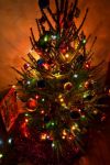 Ąāņīš: Nieko sau
Dydis: 427x640, 58551 baitų
Atnaujinta: 19-12-2012, 16:16
Peržiūrų: išj
''Už'' balsavo: 13
Reitingas: 2.18