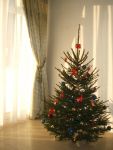 Ąāņīš:
Dydis: 480x640, 44478 baitų
Atnaujinta: 26-12-2012, 16:21
Peržiūrų: išj
''Už'' balsavo: 9
Reitingas: 1.51