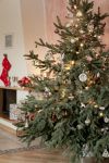 Ąāņīš: Alexso
Dydis: 427x640, 67053 baitų
Atnaujinta: 27-12-2012, 18:46
Peržiūrų: išj
''Už'' balsavo: 42
Reitingas: 7.04