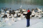 Ąāņīš:
Dydis: 640x428, 80530 baitų
Atnaujinta: 23-01-2013, 19:45
Peržiūrų: išj
''Už'' balsavo: 9
Reitingas: 2.66