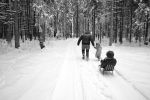 Ąāņīš: Nieko sau
Dydis: 640x427, 54095 baitų
Atnaujinta: 31-01-2013, 15:33
Peržiūrų: išj
''Už'' balsavo: 27
Reitingas: 7.99