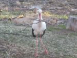 Ąāņīš: eliss
Dydis: 640x480, 116513 baitų
Atnaujinta: 31-03-2013, 21:46
Peržiūrų: išj
''Už'' balsavo: 16
Reitingas: 4.27