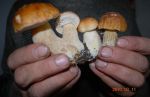 Ąāņīš: Veitė
Dydis: 640x412, 33274 baitų
Atnaujinta: 16-10-2013, 9:22
Peržiūrų: išj
''Už'' balsavo: 2
Reitingas: 0.52