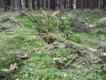 Ąāņīš:
Dydis: 640x480, 102396 baitų
Atnaujinta: 18-10-2013, 22:15
Peržiūrų: išj
''Už'' balsavo: 1
Reitingas: 0.26