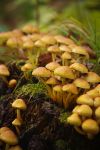 Ąāņīš:
Dydis: 428x640, 64526 baitų
Atnaujinta: 16-10-2013, 19:11
Peržiūrų: išj
''Už'' balsavo: 15
Reitingas: 3.87