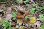 Ąāņīš: Milituke
Dydis: 640x427, 60220 baitų
Atnaujinta: 17-10-2013, 22:34
Peržiūrų: išj
''Už'' balsavo: 10
Reitingas: 2.58