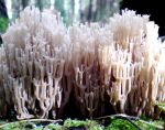 Ąāņīš: lilget
Dydis: 640x505, 67172 baitų
Atnaujinta: 20-10-2013, 13:22
Peržiūrų: išj
''Už'' balsavo: 13
Reitingas: 3.35