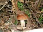 Ąāņīš: mammka
Dydis: 640x480, 77969 baitų
Atnaujinta: 21-10-2013, 10:44
Peržiūrų: išj
''Už'' balsavo: 12
Reitingas: 3.09