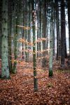 Ąāņīš: S..K..
Dydis: 427x640, 94240 baitų
Atnaujinta: 16-11-2013, 9:55
Peržiūrų: išj
''Už'' balsavo: 10
Reitingas: 3.5