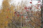 Ąāņīš: gustema
Dydis: 640x426, 90823 baitų
Atnaujinta: 20-11-2013, 12:39
Peržiūrų: išj
''Už'' balsavo: 4
Reitingas: 1.4