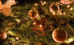 Ąāņīš: florete
Dydis: 640x395, 91423 baitų
Atnaujinta: 18-12-2013, 16:11
Peržiūrų: išj
''Už'' balsavo: 6
Reitingas: 1.51