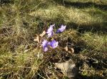 Ąāņīš: adiaVT
Dydis: 640x479, 134681 baitų
Atnaujinta: 03-04-2014, 21:51
Peržiūrų: išj
''Už'' balsavo: 2
Reitingas: 0.77