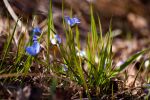 Ąāņīš: hi (:
Dydis: 640x428, 86814 baitų
Atnaujinta: 05-04-2014, 16:17
Peržiūrų: išj
''Už'' balsavo: 4
Reitingas: 1.54