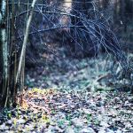 Ąāņīš: Alabama
Dydis: 600x600, 325121 baitų
Atnaujinta: 28-05-2014, 15:05
Peržiūrų: išj
''Už'' balsavo: 14
Reitingas: 5.15