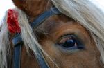 Ąāņīš: eros
Dydis: 640x424, 63655 baitų
Atnaujinta: 06-06-2014, 16:58
Peržiūrų: išj
''Už'' balsavo: 9
Reitingas: 3.31