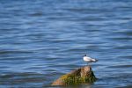 Ąāņīš: S..K..
Dydis: 640x426, 40151 baitų
Atnaujinta: 28-08-2014, 16:20
Peržiūrų: išj
''Už'' balsavo: 5
Reitingas: 1.62
