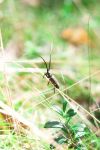 Ąāņīš: Tesa.
Dydis: 427x640, 44757 baitų
Atnaujinta: 30-08-2014, 18:01
Peržiūrų: išj
''Už'' balsavo: 3
Reitingas: 0.97