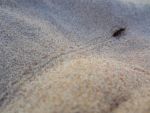 Ąāņīš: Svajūnė
Dydis: 640x480, 53707 baitų
Atnaujinta: 30-08-2014, 18:01
Peržiūrų: išj
''Už'' balsavo: 4
Reitingas: 1.29