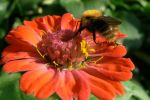 Ąāņīš: Aruna
Dydis: 640x425, 43713 baitų
Atnaujinta: 30-08-2014, 19:03
Peržiūrų: išj
''Už'' balsavo: 1
Reitingas: 0.32