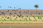 Ąāņīš: Elen
Dydis: 640x423, 54641 baitų
Atnaujinta: 30-08-2014, 18:01
Peržiūrų: išj
''Už'' balsavo: 25
Reitingas: 8.09