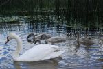 Ąāņīš: Veitė
Dydis: 640x433, 69466 baitų
Atnaujinta: 30-08-2014, 18:01
Peržiūrų: išj
''Už'' balsavo: 2
Reitingas: 0.65